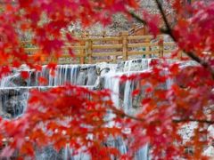 -大伊山景区