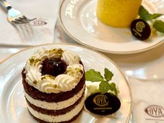 -COVA(新天地Xintiandi店)