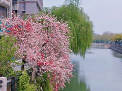 -南通濠河风景名胜区