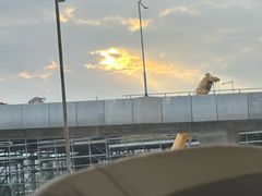 -香港国际机场