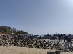 -养马岛旅游度假区