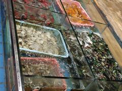 -碧桂园十里银滩