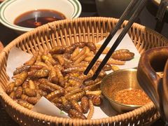-季季山·云南野生菌火锅(上海首店)