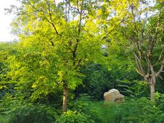 -长春市南湖公园