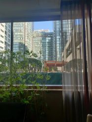 -北京嘉里大酒店·宴会厅婚宴·户外婚礼·生日宴