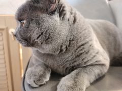 -Me Coffee下午茶艺术空间