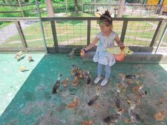 -前小桔亲子创意农场·草莓采摘·露营烧烤