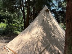 -重庆睡佛山森林公园