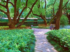 -徐家汇源景区-衡山公园