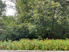 -长春市南湖公园