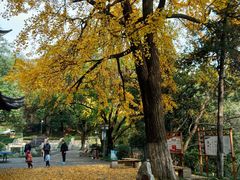景点-伯先公园