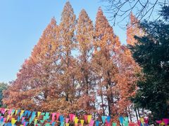 -虞山风景区