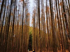 -山王坪喀斯特国家生态公园