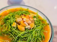 上汤豆苗-火婆子·川小馆(扬韬科技广场店)