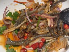-大榕树下顺德菜(融创茂店)