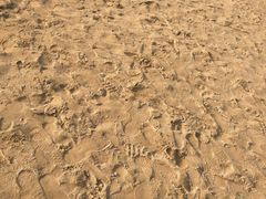 -东戴河风景区-止锚湾