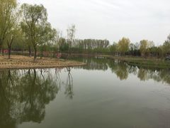 -东郊湿地公园