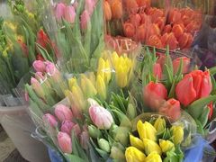 -循礼门鲜花花市(武汉循礼门店)