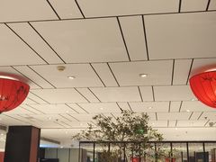 -眉州东坡(民族园店)