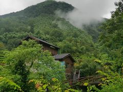 -藏龙百瀑风景区