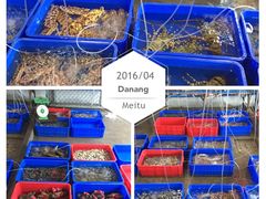 -幸福姐海鲜大排档