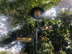 -三鹰之森吉卜力美术馆