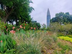-深圳人才公园
