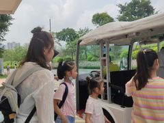 -美的鹭湖探索王国