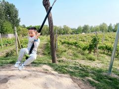 -圣露庄园·亲子活动乐园·露营·团建婚礼