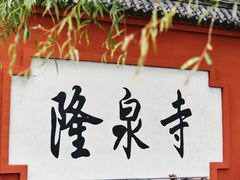 -百脉泉景区