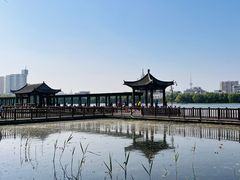 -莲花池公园