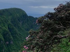 -峨眉山风景名胜区
