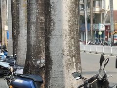 -林氏圆子(阔时路店)