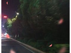 -虎子烧烤(湘江北路店)