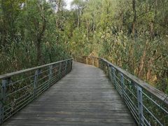 -西湖风景区-江洋畈生态公园