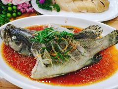 -刘记糟粕醋海鲜烧烤