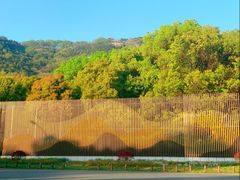 -尚湖风景区