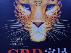 -SFC上影百联影城(大上海4DX店)