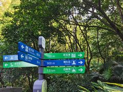 -火炉山森林公园