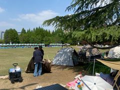 -青枫公园
