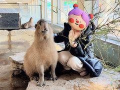 -西霞口神雕山野生动物世界