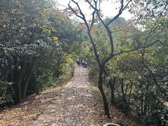 -西湖风景区十里琅珰-五云山