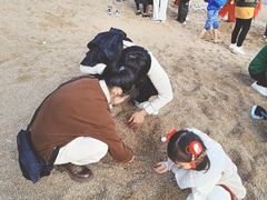 -广东惠东海龟国家级自然保护区