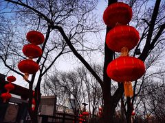-莲花池公园