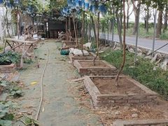 -马陆小张葡萄园农家乐