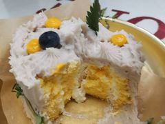 -野草莓自由市场