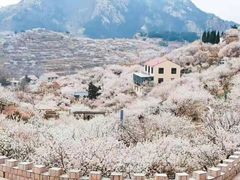 -崂山九水游览区