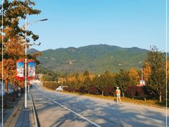 -北京西山国家森林公园