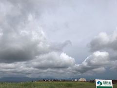 -草原天路(张北县)