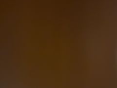 -好利来(柳北店)